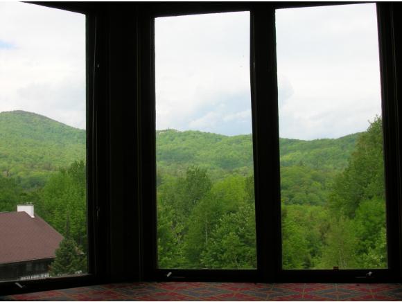 11 Christmas Mountain Road, Unit 11 Intervale, NH 03845 - Photo 3 of 24 Gallery Image 3