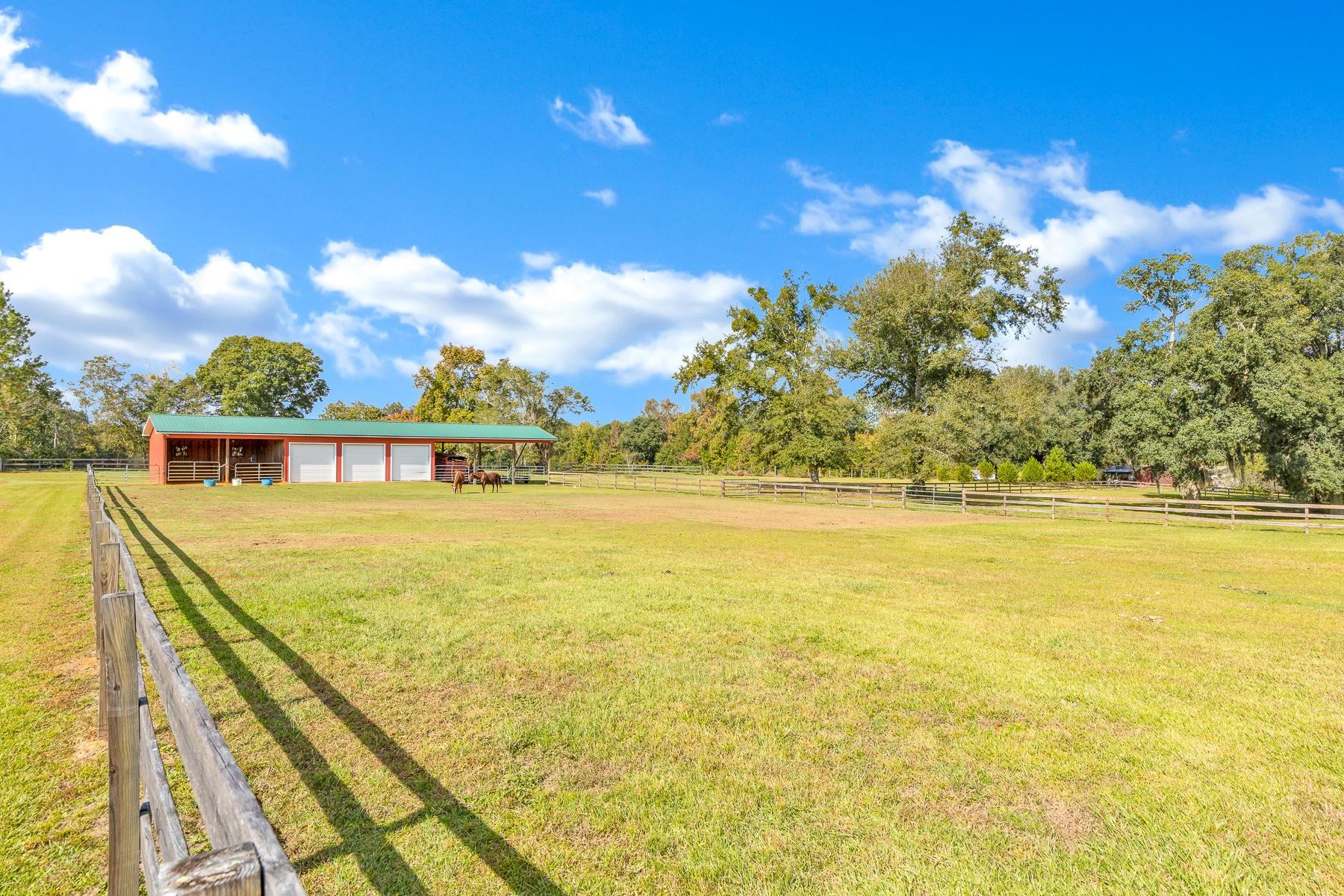 130 Rabbit Pond Road Havana, FL 32333 - Photo 31 of 36 Gallery Image 31