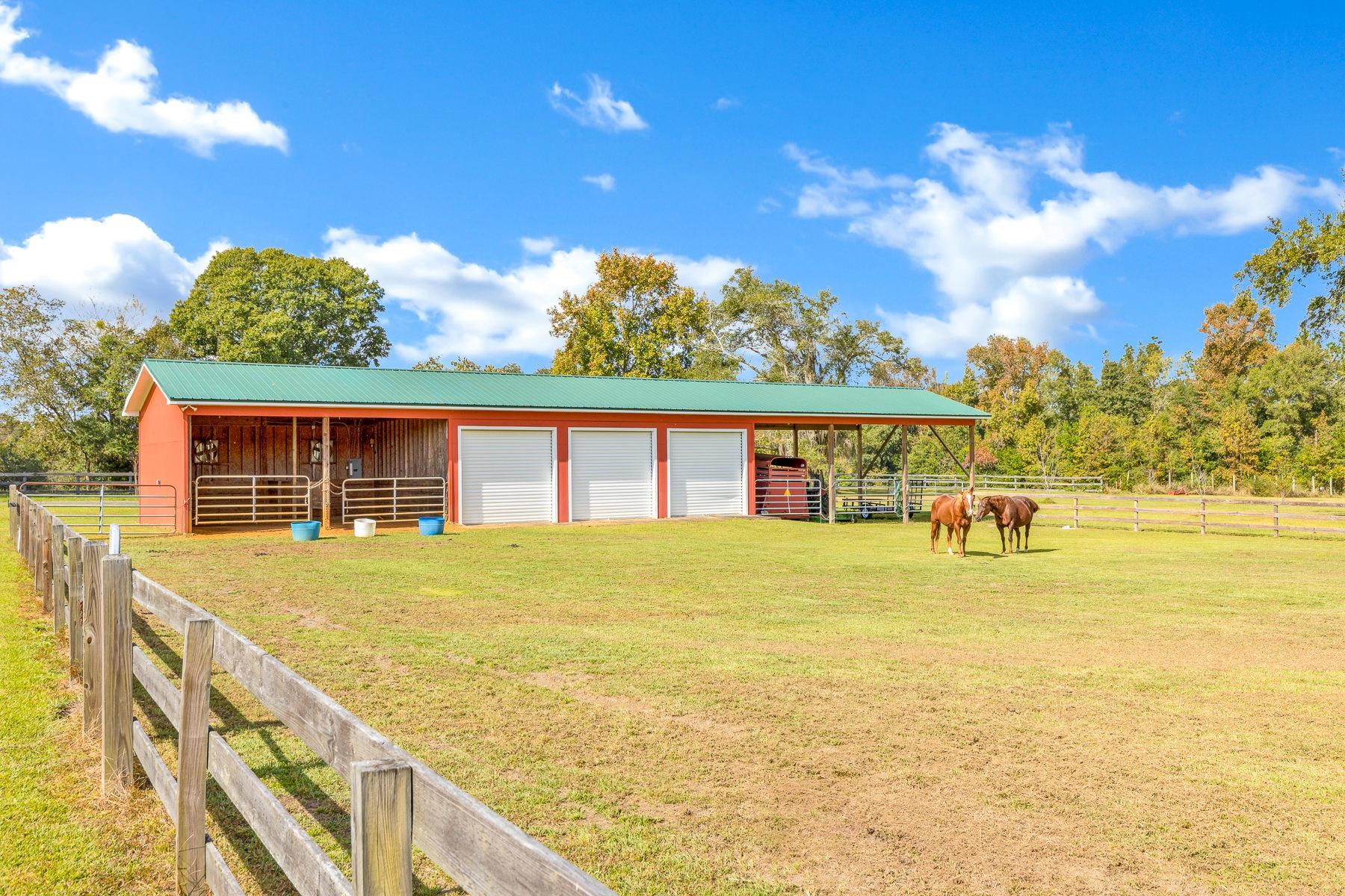 130 Rabbit Pond Road Havana, FL 32333 - Photo 6 of 36 Gallery Image 6