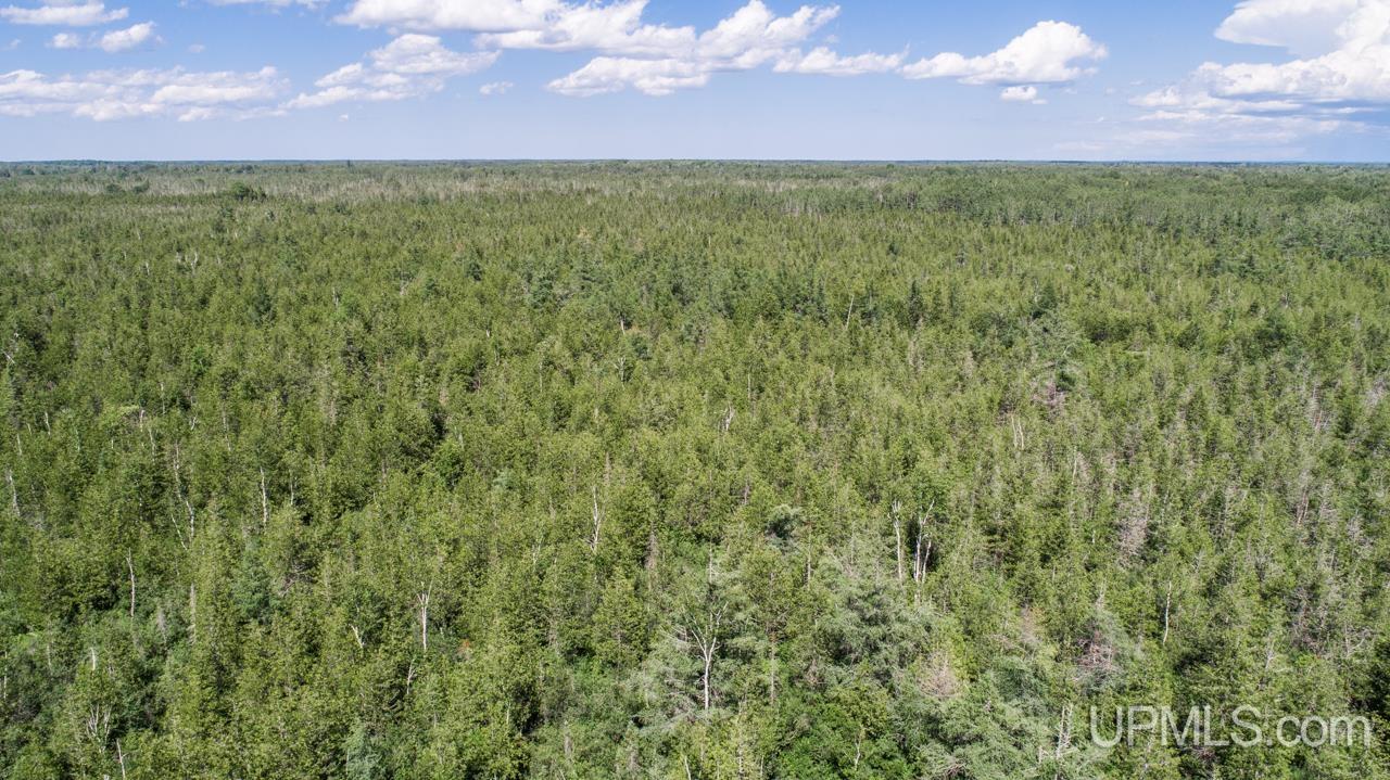 Tbd St Nicholas 31st Road Rock, MI 49880 - Photo 13 of 15 Gallery Image 13