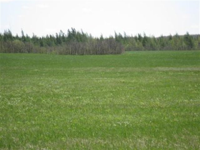 7011 Mattila Road Tamarack, MN 55787 - Photo 11 of 17 Gallery Image 11