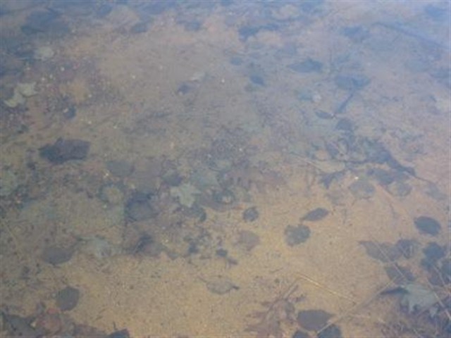7011 Mattila Road Tamarack, MN 55787 - Photo 17 of 17 Gallery Image 17