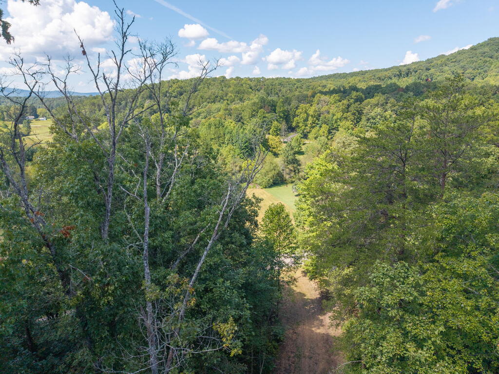 153 Pack Mountain Road Murphy, NC 28906 - Photo 16 of 32 Gallery Image 16