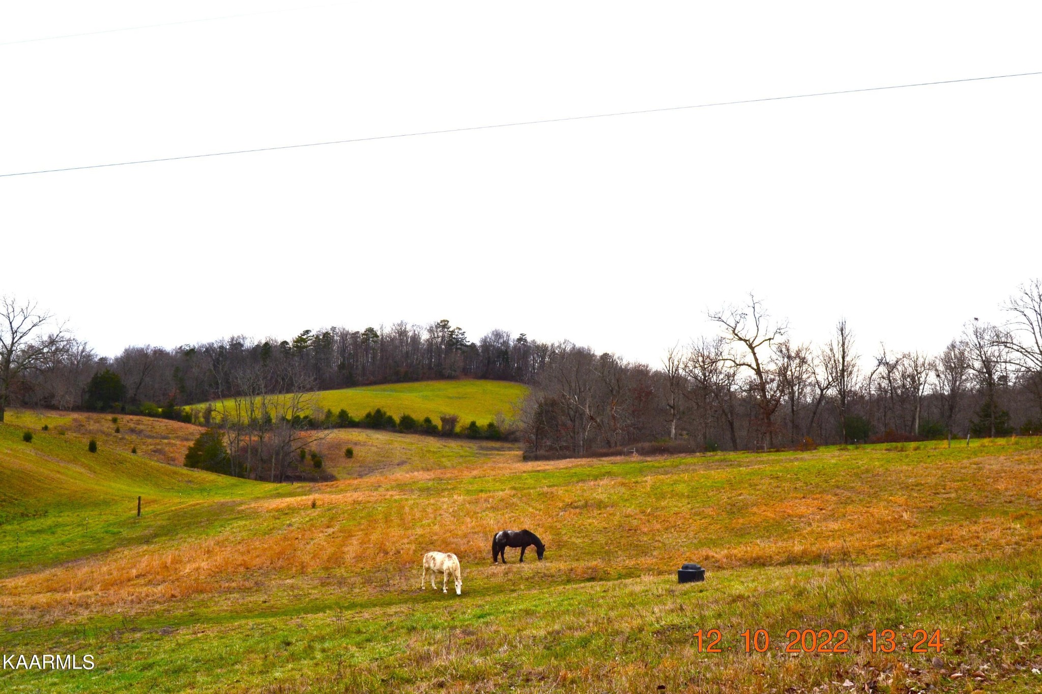 4 Cain Road Sharps Chapel, TN 37866 - Photo 2 of 17 Gallery Image 2