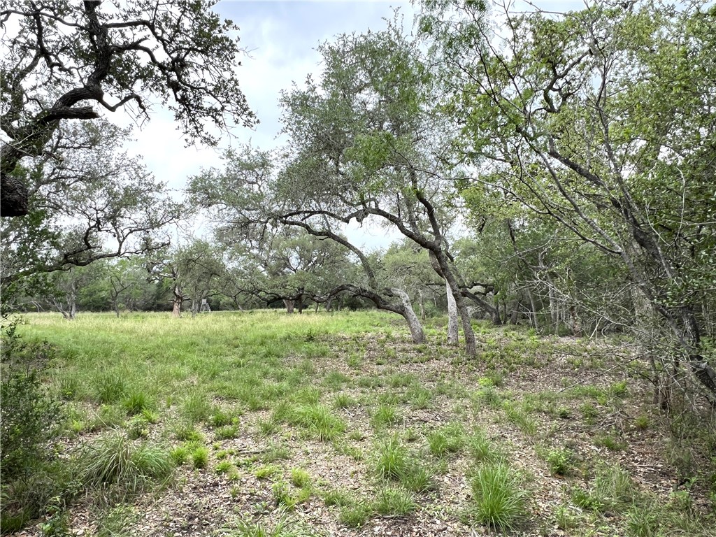 1632 Slickfield Road Yorktown, TX 78164 - Photo 28 of 40