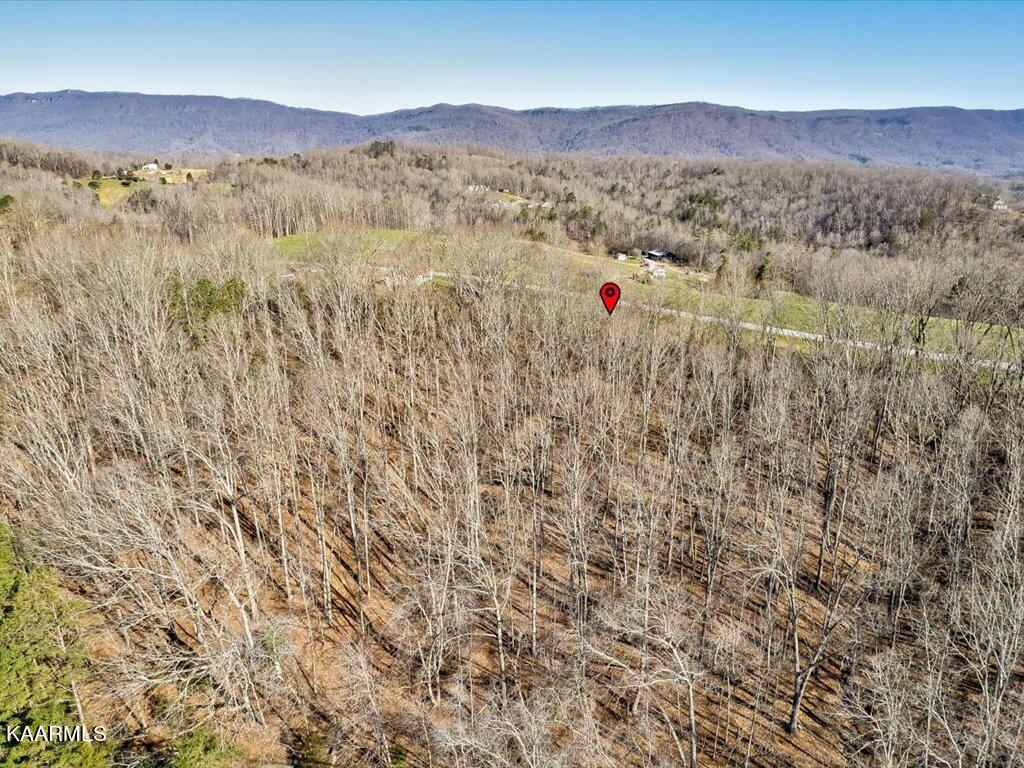 4 Wilson Road Speedwell, TN 37870 - Photo 15 of 27 Tract 4 Wilson Rd - 15