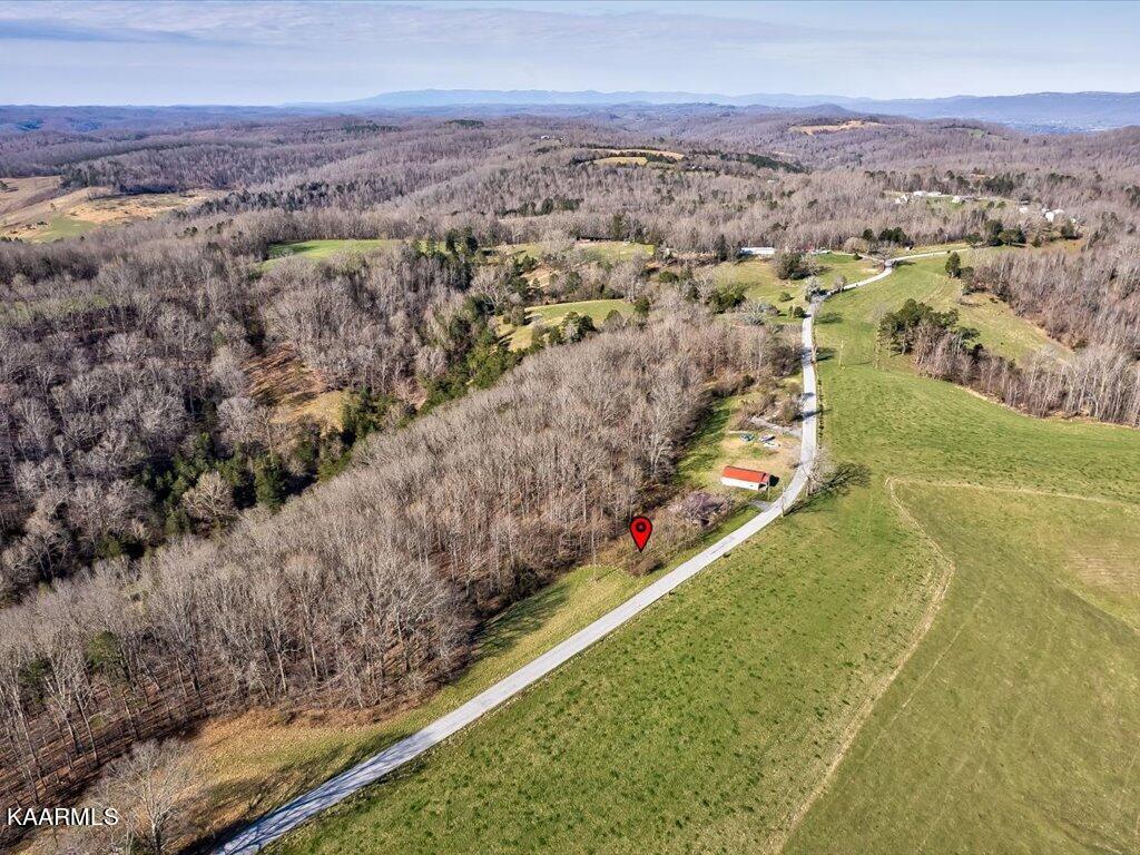 4 Wilson Road Speedwell, TN 37870 - Photo 5 of 27 Tract 4 Wilson Rd - 5