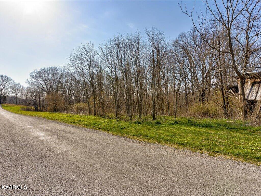4 Wilson Road Speedwell, TN 37870 - Photo 6 of 27 Tract 4 Wilson Rd - 6