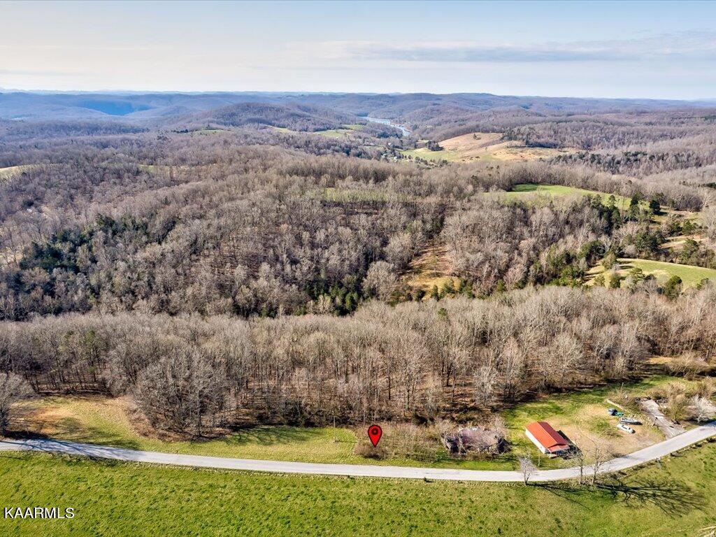 4 Wilson Road Speedwell, TN 37870 - Photo 7 of 27 Tract 4 Wilson Rd - 7