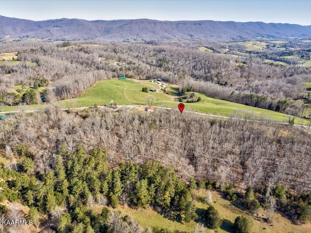 4 Wilson Road Speedwell, TN 37870 - Photo 9 of 27 Tract 4 Wilson Rd - 9