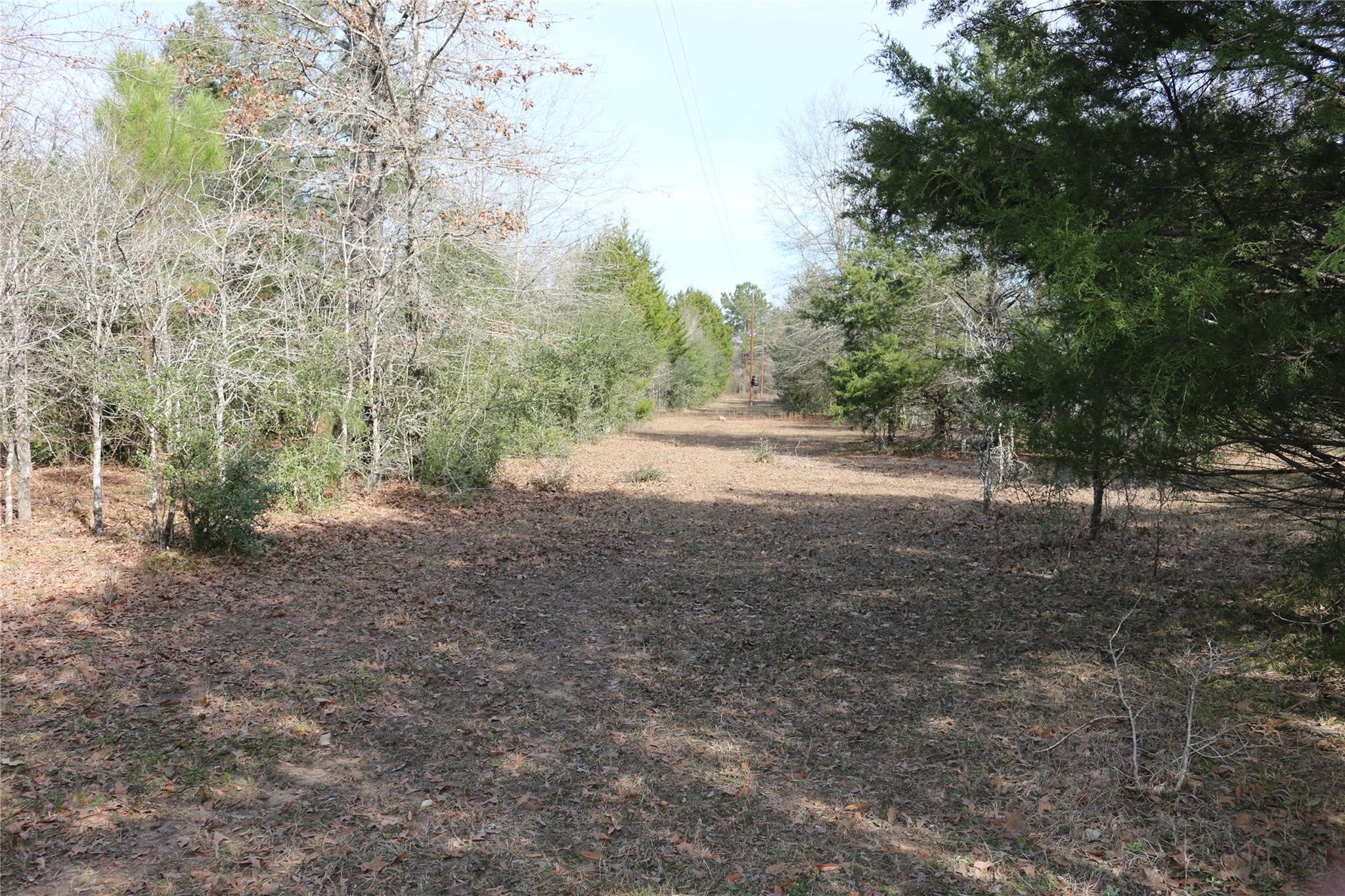37.5-ac Antioch Road Midway, TX 75852 - Photo 17 of 24 Gallery Image 17