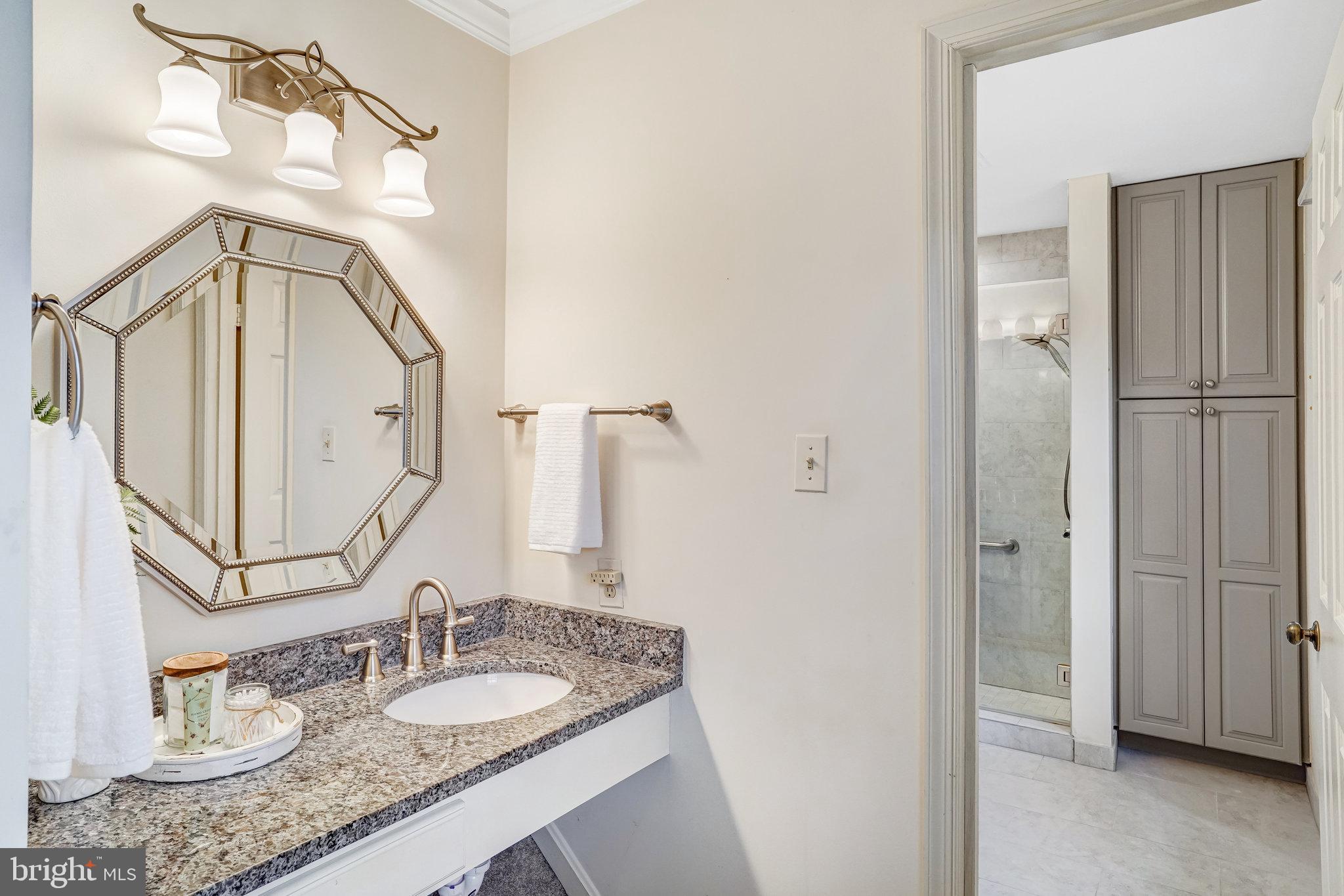 10708 Midsummer Drive Reston, VA 20191 - Photo 20 of 41 Additional separate vanity area