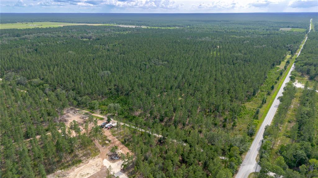 Northeast 90th Street Road Fort McCoy, FL 32134 - Photo 6 of 25
