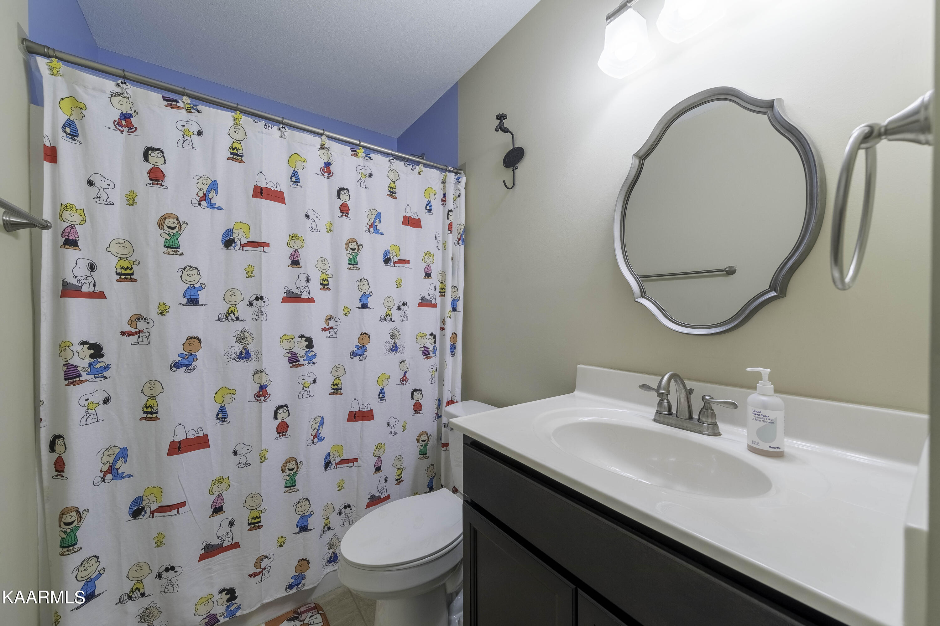 6642 Ruby June Lane Corryton, TN 37721 - Photo 15 of 23 Hall Bath