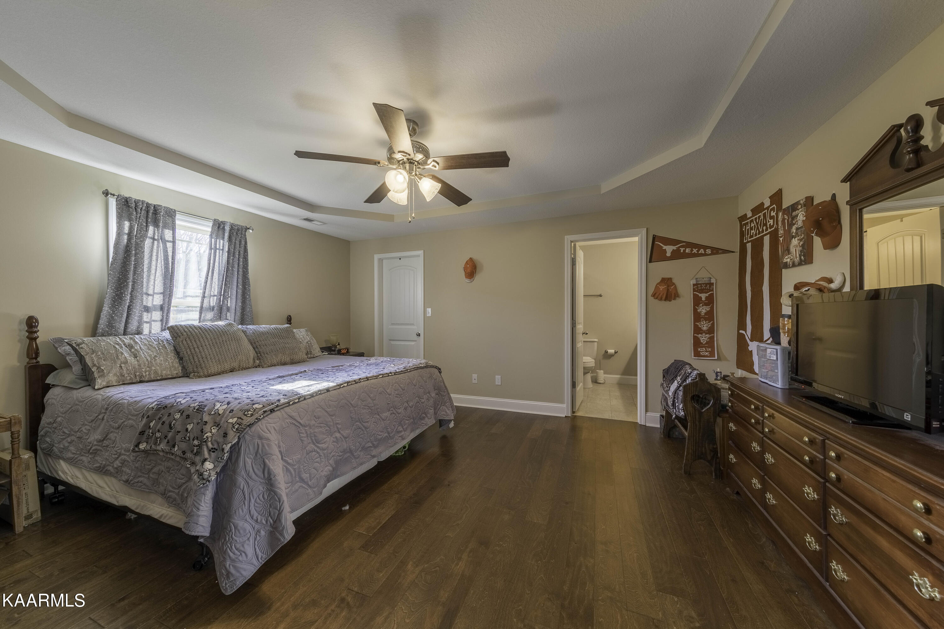 6642 Ruby June Lane Corryton, TN 37721 - Photo 10 of 23 Trey Ceilings in Master