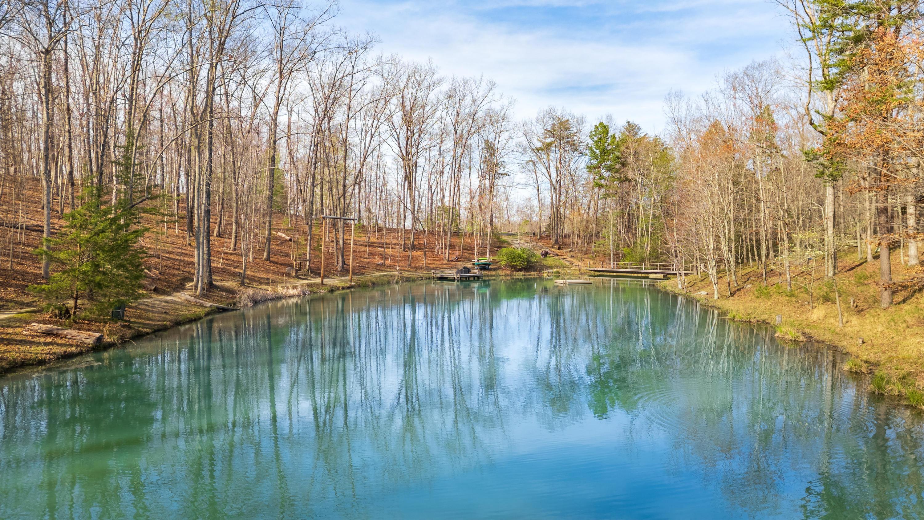 756 Long Branch Road Rising Fawn, GA 30738 - Photo 79 of 110 2026_03_March_756_Long_Branch_Rd_0113