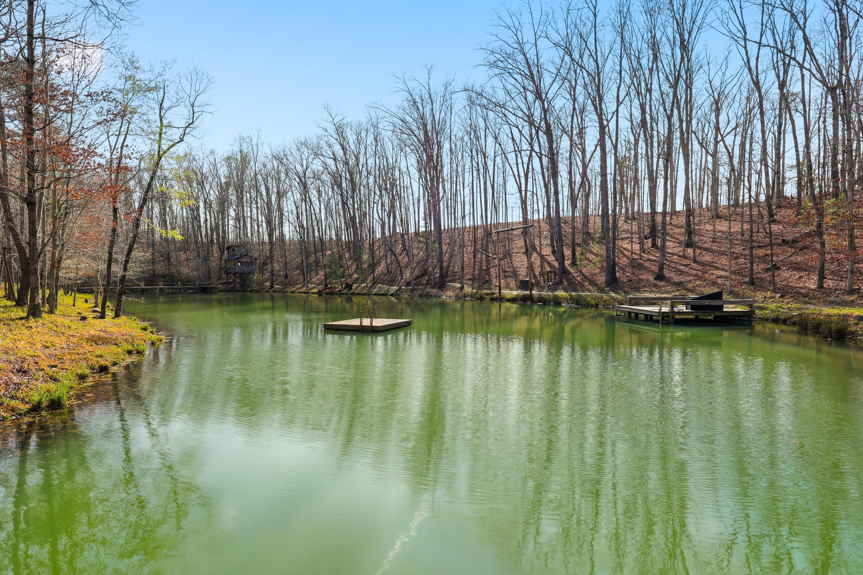 756 Long Branch Road Rising Fawn, GA 30738 - Photo 81 of 110 2026_03_March_756_Long_Branch_Rd_0115
