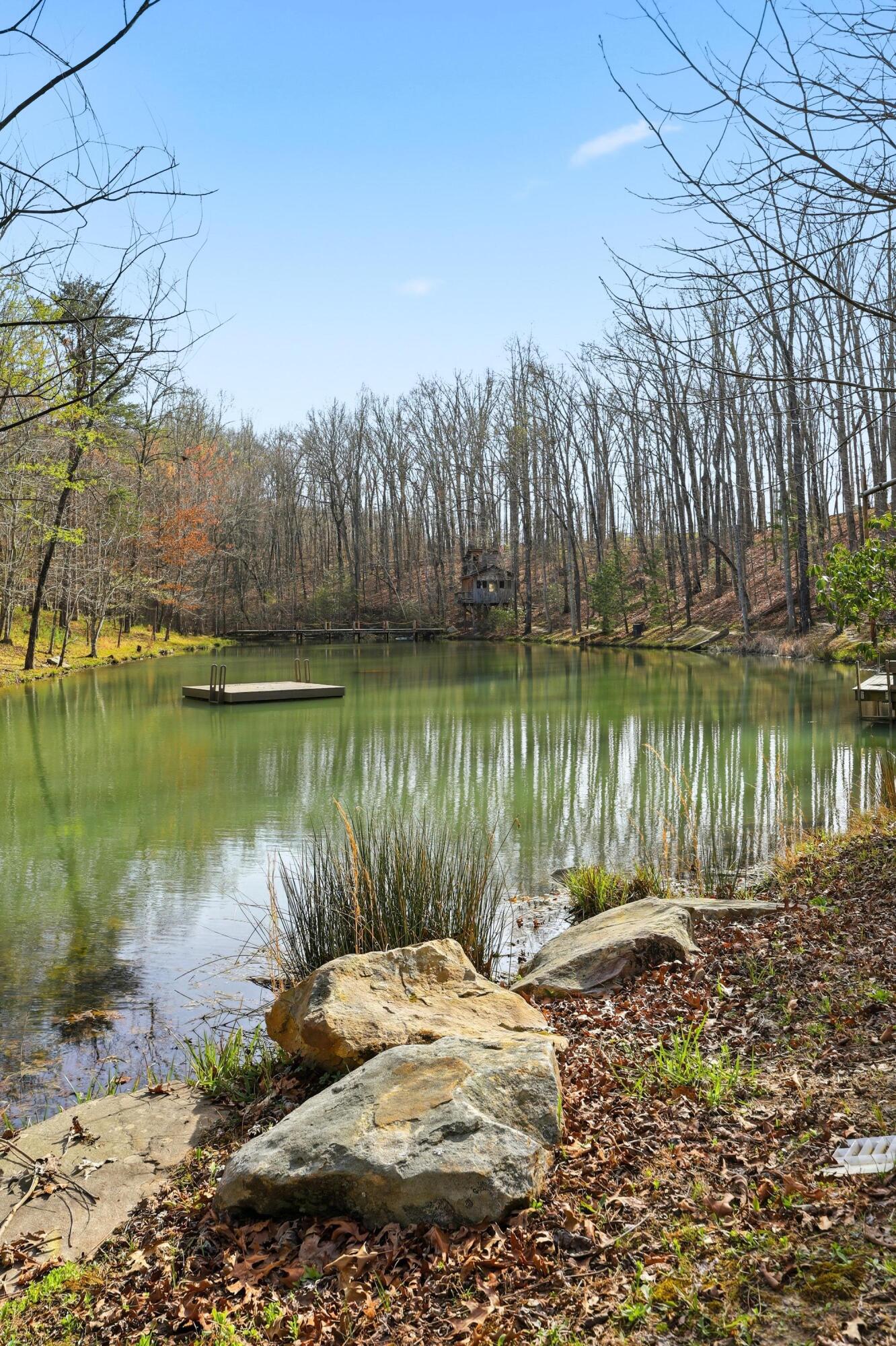 756 Long Branch Road Rising Fawn, GA 30738 - Photo 82 of 110 2026_03_March_756_Long_Branch_Rd_0116