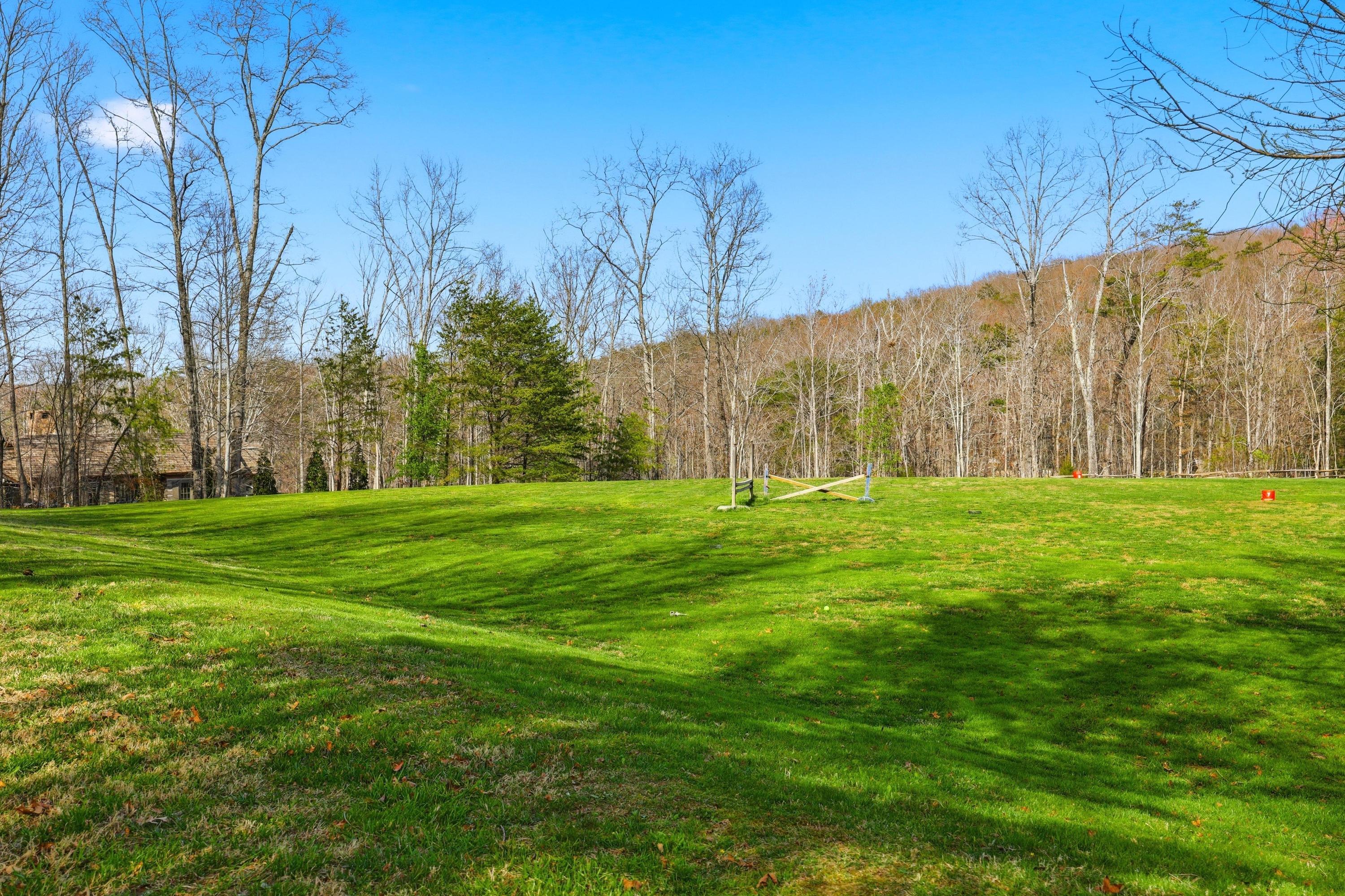 756 Long Branch Road Rising Fawn, GA 30738 - Photo 84 of 110 2026_03_March_756_Long_Branch_Rd_0118