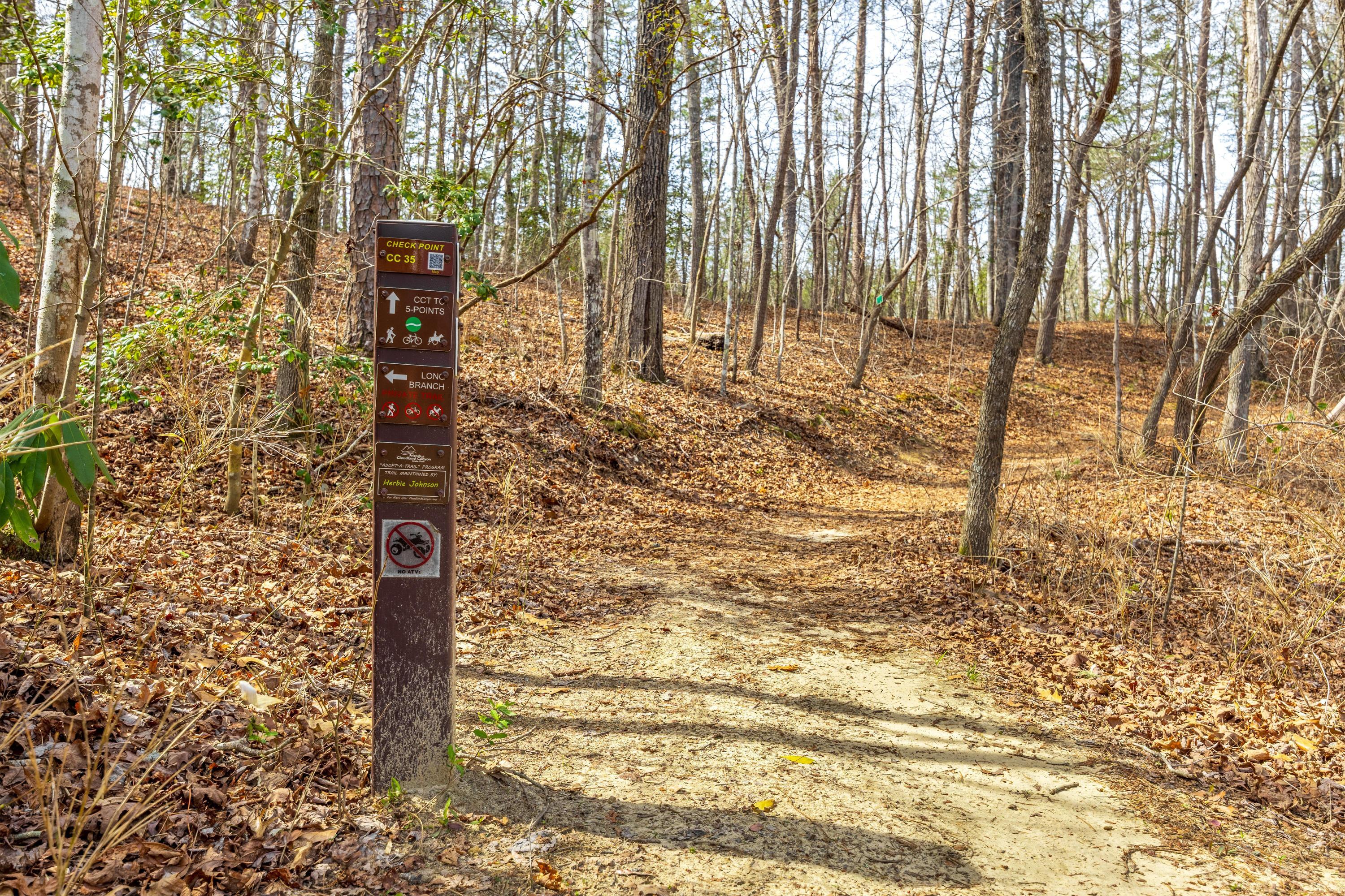 756 Long Branch Road Rising Fawn, GA 30738 - Photo 91 of 110 2026_03_March_756_Long_Branch_Rd_0099