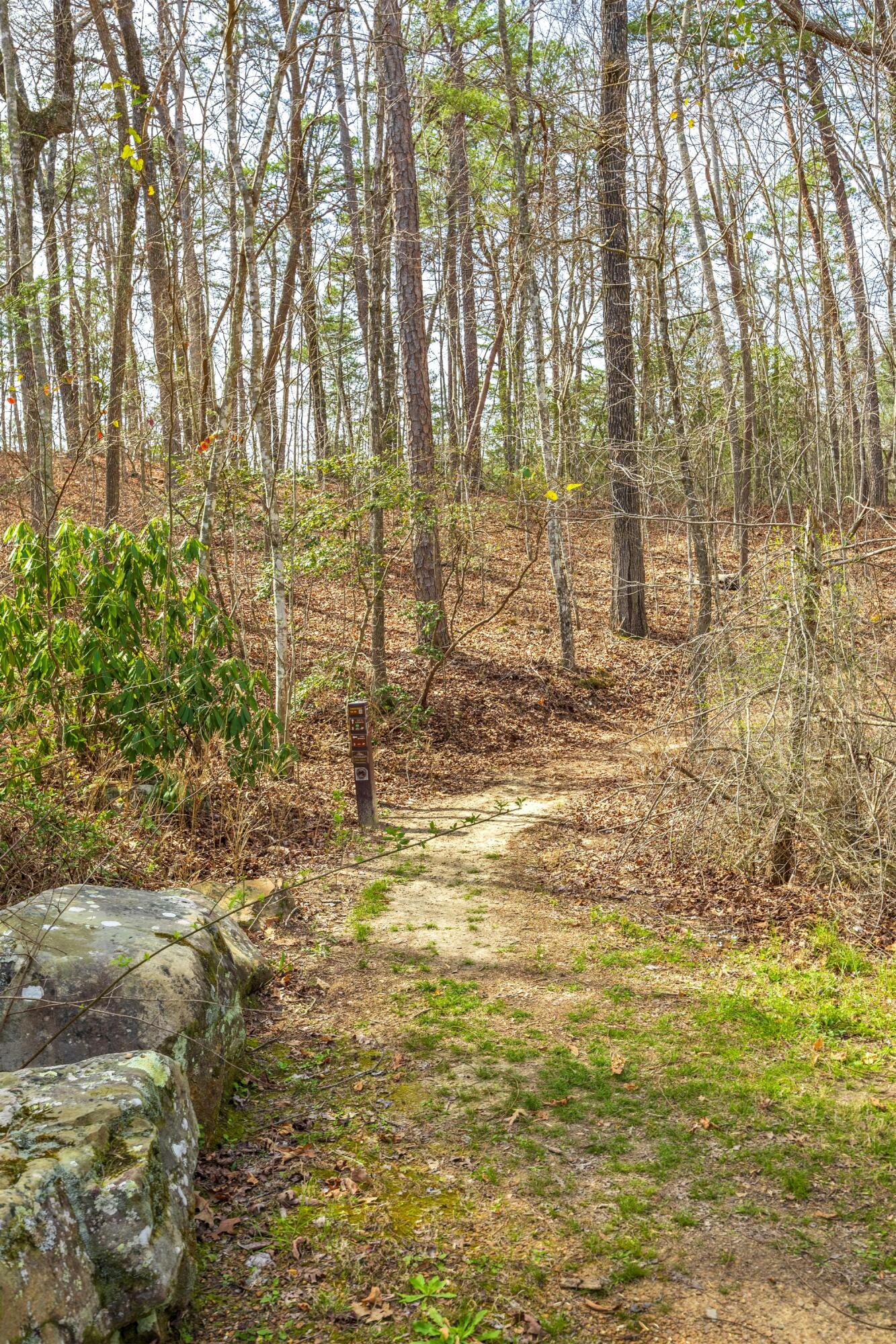 756 Long Branch Road Rising Fawn, GA 30738 - Photo 92 of 110 2026_03_March_756_Long_Branch_Rd_0098