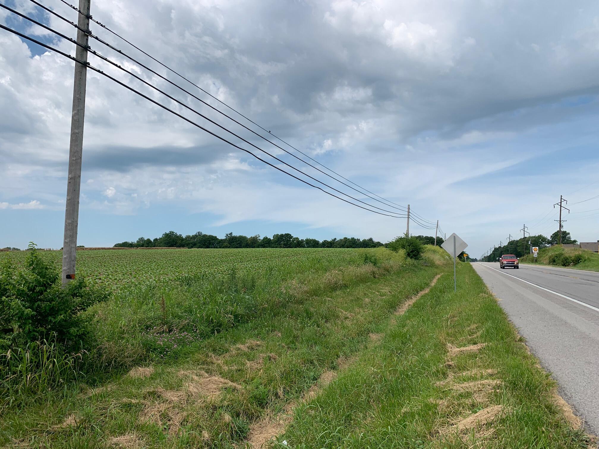 0 Perryville Road Danville, KY 40422 - Photo 2 of 11 US 150 Perryville 34 acres looking west