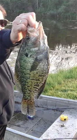 $425,000 | 5783 Union Road, McLouth, KS 66054