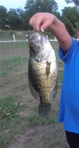 $425,000 | 5783 Union Road, McLouth, KS 66054