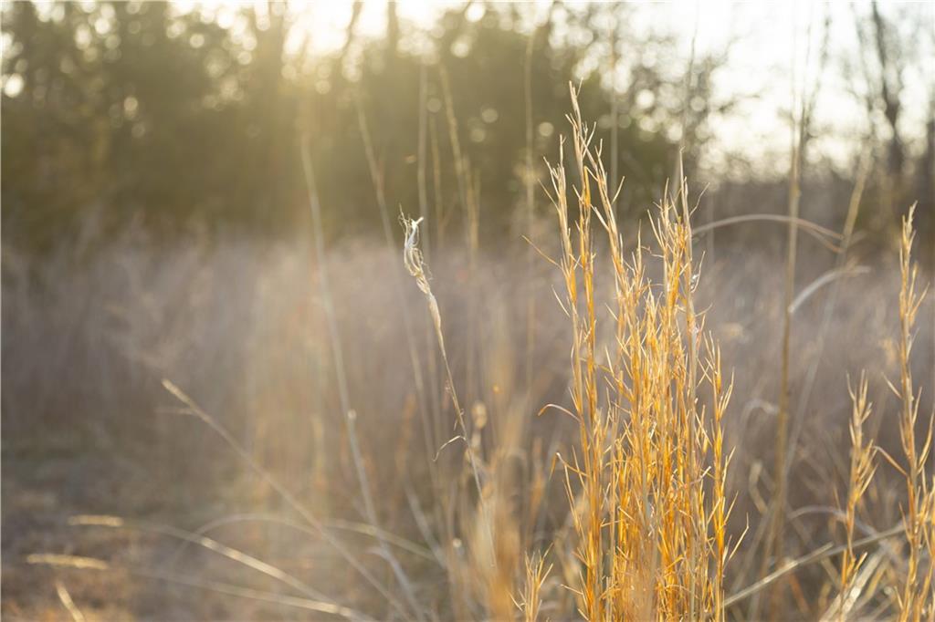 5783 Union Road McLouth, KS 66054 - Photo 67 of 83