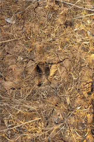 $425,000 | 5783 Union Road, McLouth, KS 66054