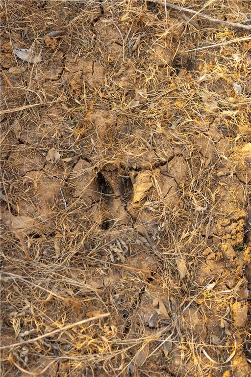 5783 Union Road McLouth, KS 66054 - Photo 69 of 83