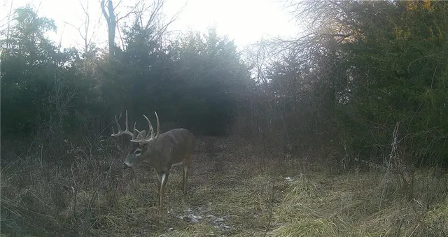 $425,000 | 5783 Union Road, McLouth, KS 66054