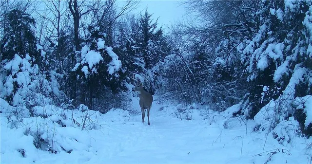 $425,000 | 5783 Union Road, McLouth, KS 66054