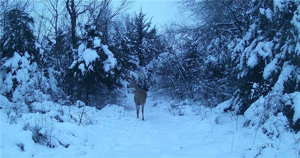 5783 Union Road McLouth, KS 66054 - Photo 71 of 83