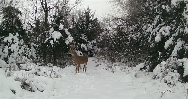 $425,000 | 5783 Union Road, McLouth, KS 66054