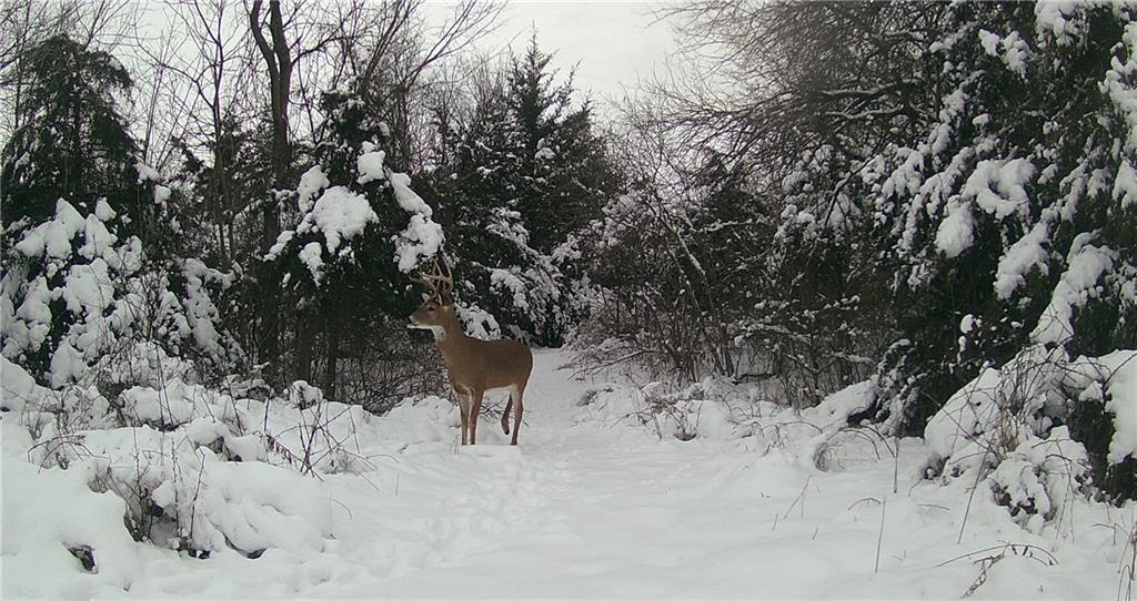 5783 Union Road McLouth, KS 66054 - Photo 72 of 83