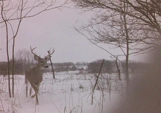 $425,000 | 5783 Union Road, McLouth, KS 66054