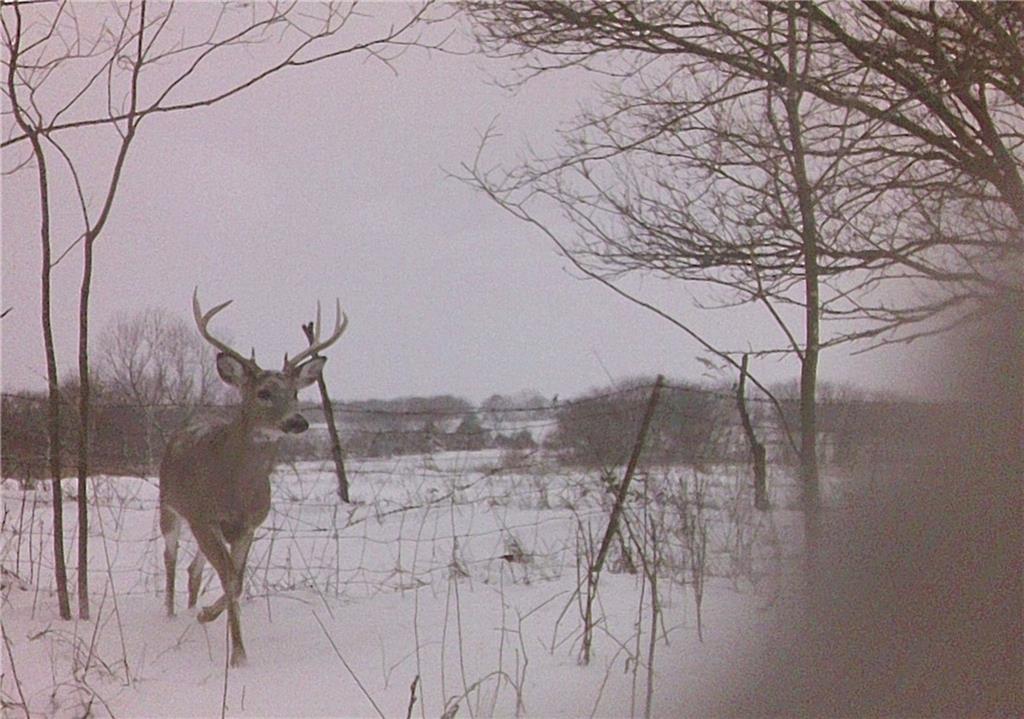 5783 Union Road McLouth, KS 66054 - Photo 73 of 83