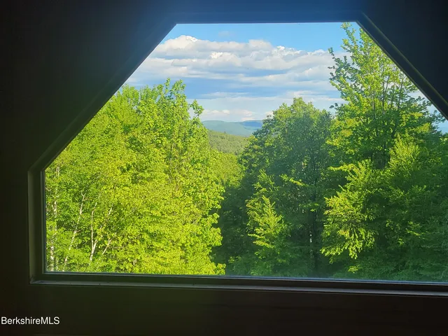 a view of a bench in the garden