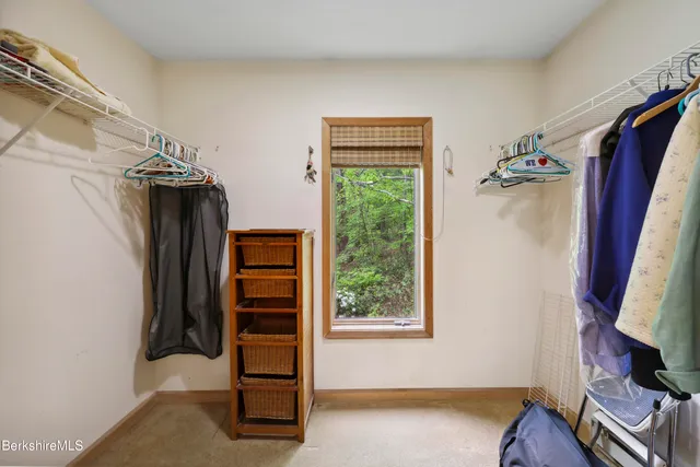 a view of a green field with lots of bushes