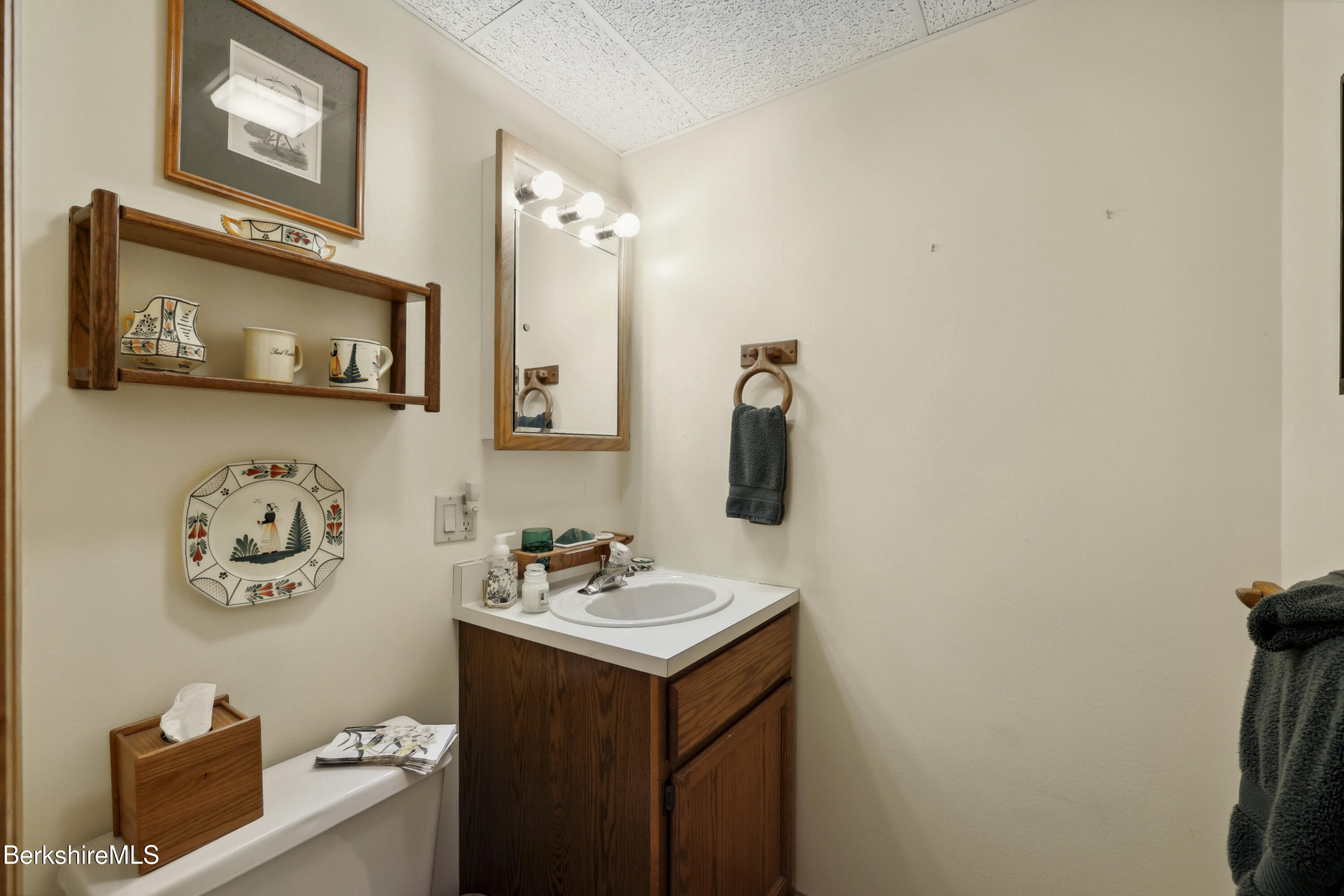 29 Old Village Road Alford, MA 01230 - Photo 46 of 72 a bathroom with a sink and a mirror