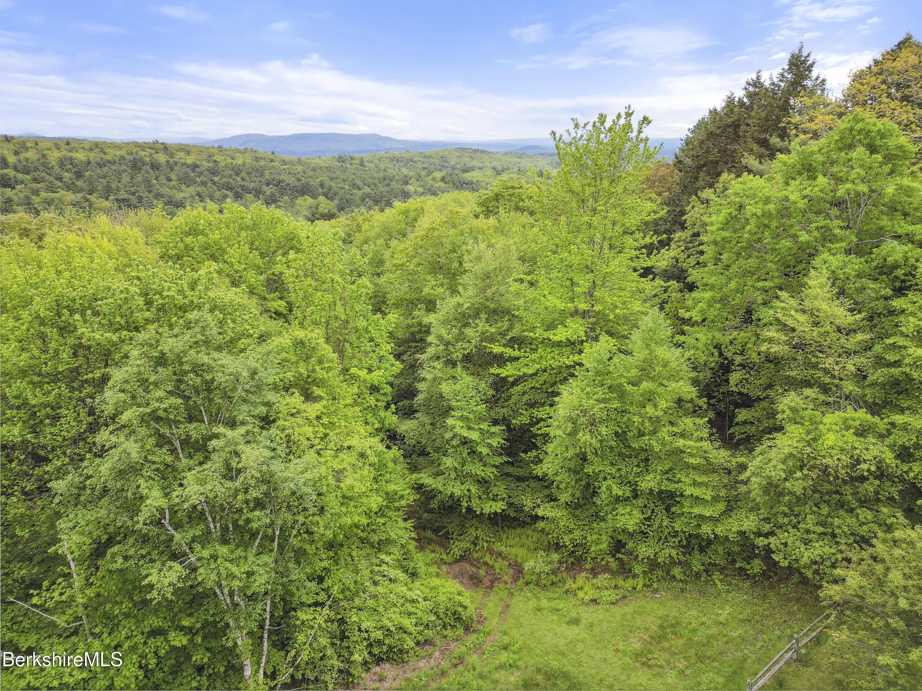 29 Old Village Road Alford, MA 01230 - Photo 56 of 72 a view of a big yard with plants and large trees