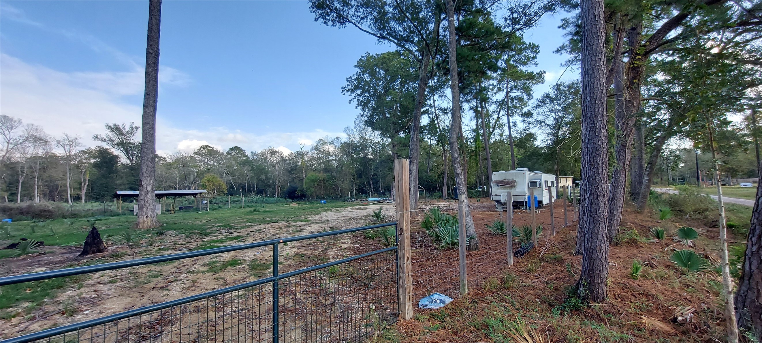 16714 Scamper Lane Crosby, TX 77532 - Photo 3 of 7 a view of a forest filled with trees