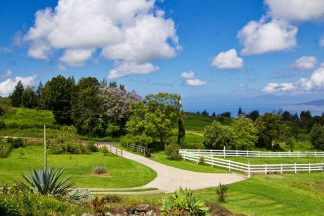 170 Naalae Road Kula, HI 96790 - Photo 3 of 23 a view of a golf course with a fountain