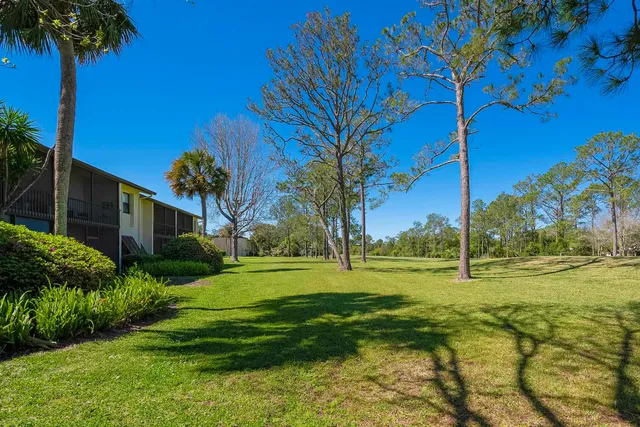 a view of a house with a yard and a tree