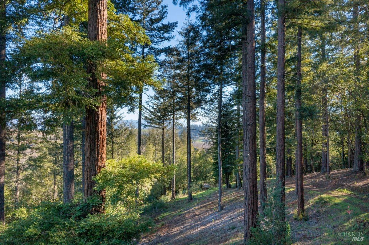 3210 West Dry Creek Road Healdsburg, CA 95448 - Photo 9 of 31