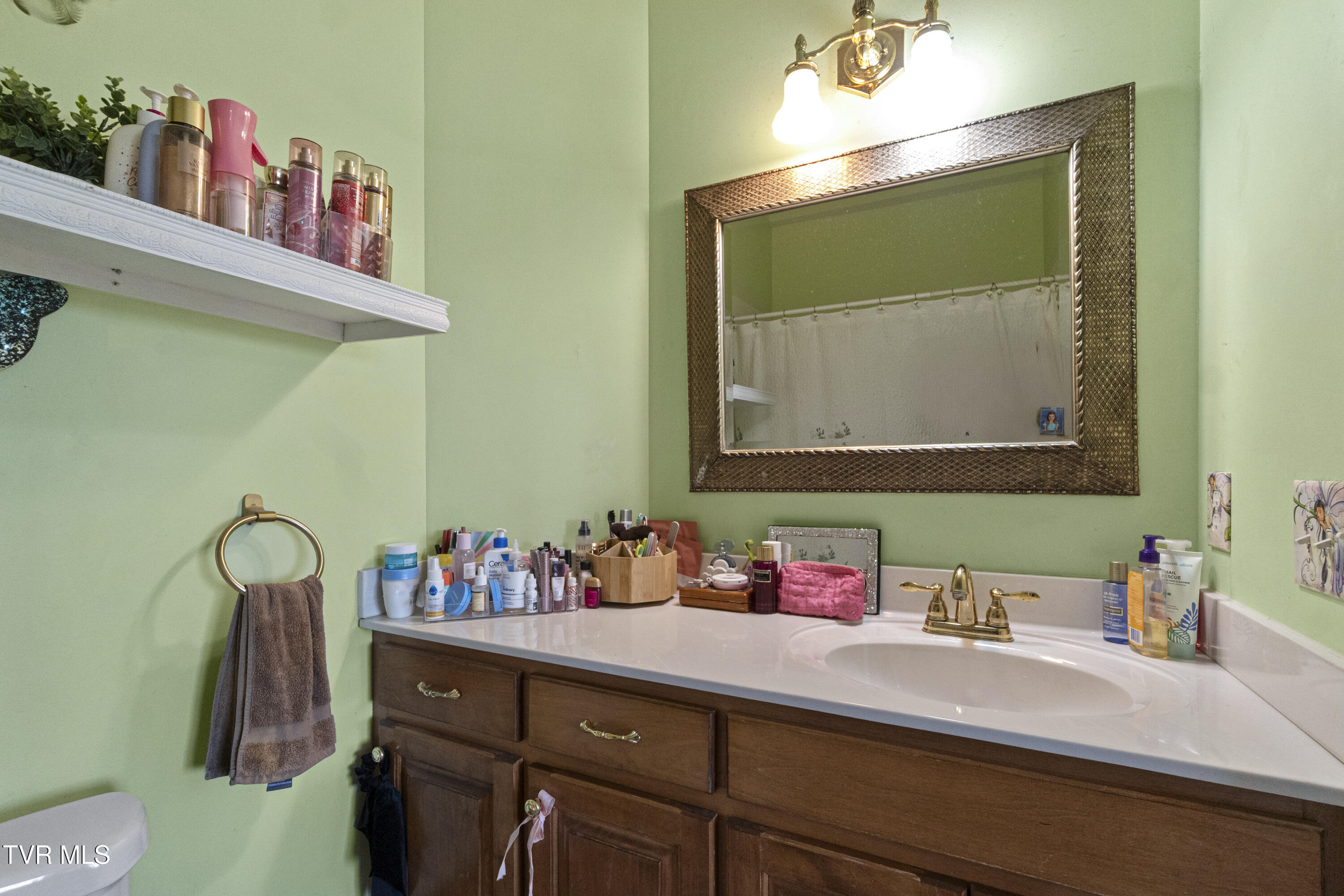1625 Lick Hollow Road Greeneville, TN 37743 - Photo 41 of 70 DSC08105