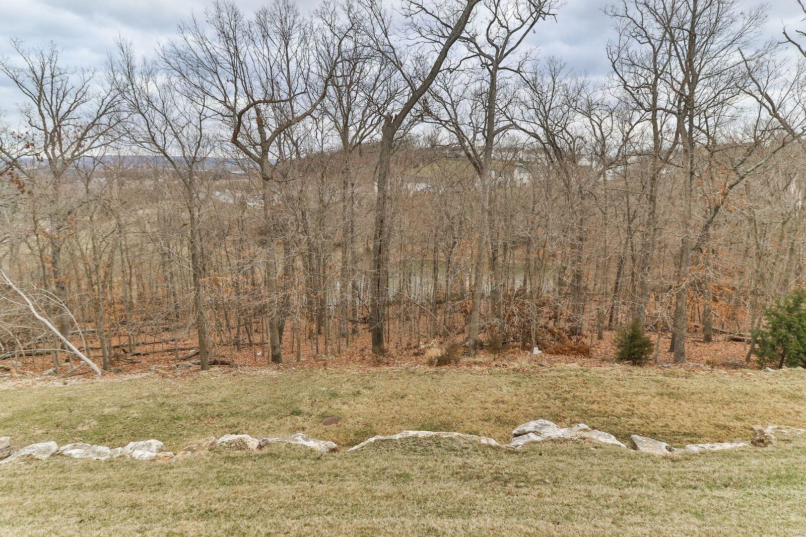 650 Grand View Ridge Court Eureka, MO 63025 - Photo 15 of 43 Gallery Image 15