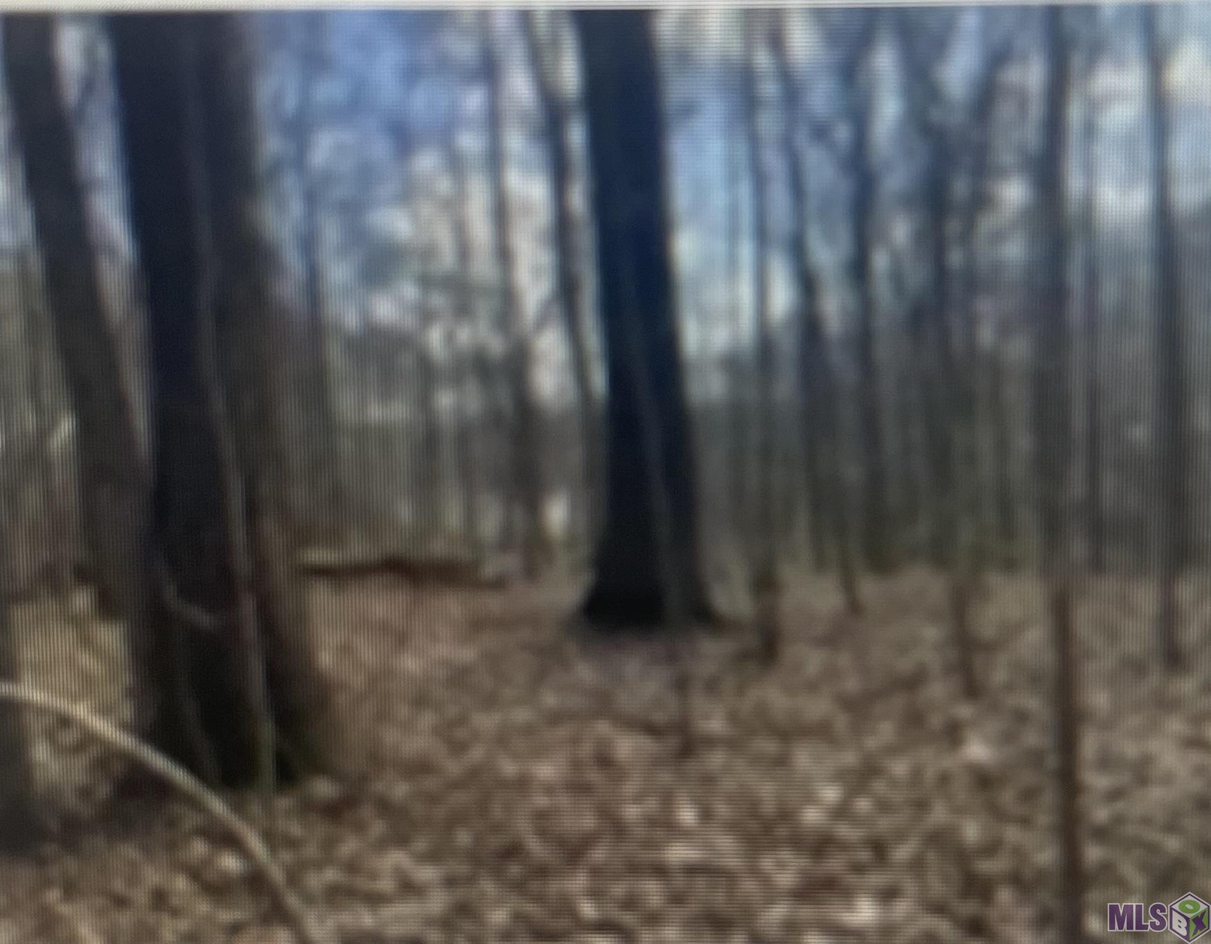 Lot 13 Turkey Creek Road Natchez, MS 39120 - Photo 2 of 4