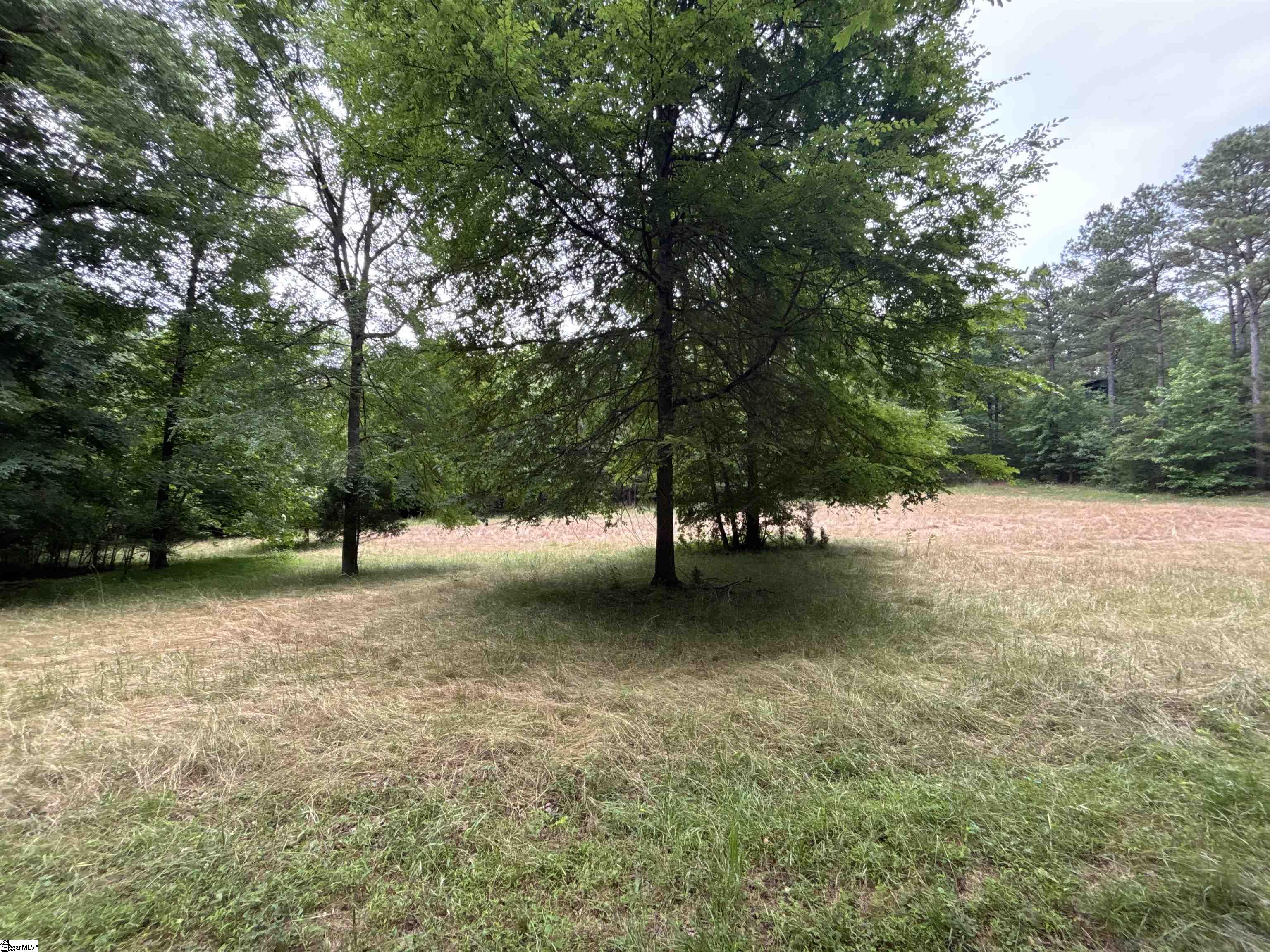 1087 Bobby Faucette Road Jonesville, SC 29353 - Photo 27 of 47